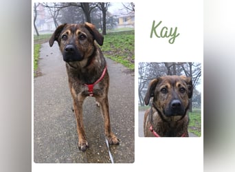 Kay