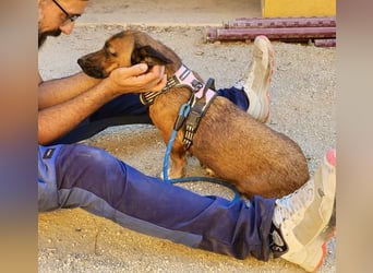 Matilde, verschmust, freundlich und offen