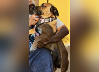 Matilde, verschmust, freundlich und offen