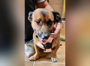 Matilde, verschmust, freundlich und offen