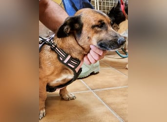 Matilde, verschmust, freundlich und offen