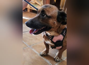 Matilde, verschmust, freundlich und offen