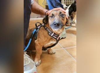 Matilde, verschmust, freundlich und offen