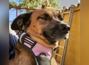 Matilde, verschmust, freundlich und offen