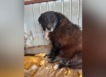 Bundesministerium Frieda