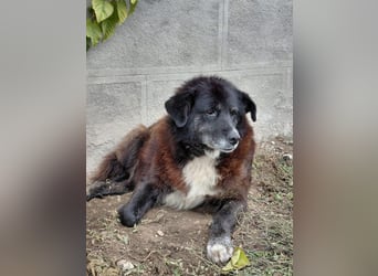 Bundesministerium Frieda