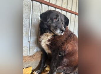 Bundesministerium Frieda