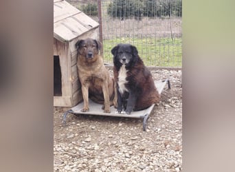 Bundesministerium Frieda