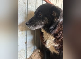 Bundesministerium Frieda