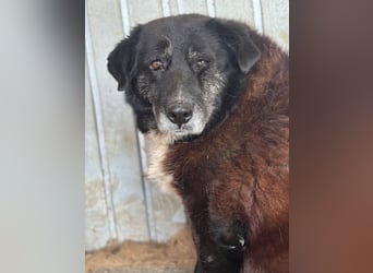 Bundesministerium Frieda