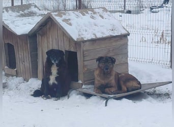 Bundesministerium Frieda