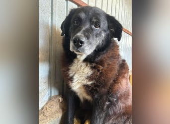 Bundesministerium Frieda