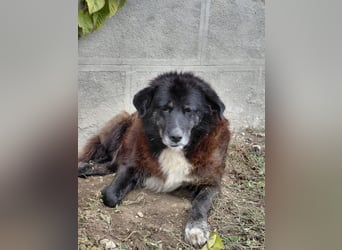 Bundesministerium Frieda