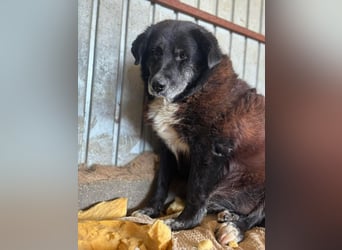 Bundesministerium Frieda