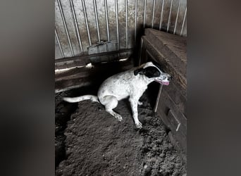 Flöti ist ein bezaubernder Bub