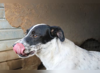 Flöti ist ein bezaubernder Bub