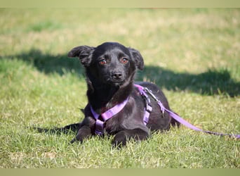 Minda unsere kleine Schönheit..