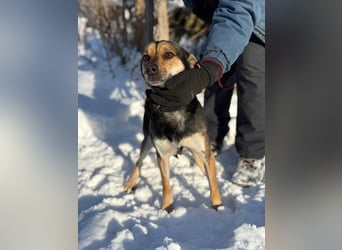 Alek bereit für ein neues Leben an deiner Seite