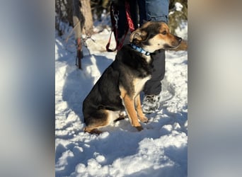 Alek bereit für ein neues Leben an deiner Seite