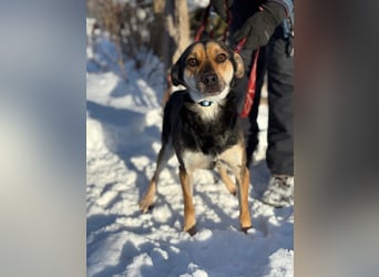 Alek bereit für ein neues Leben an deiner Seite