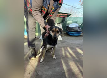 Alek bereit für ein neues Leben an deiner Seite