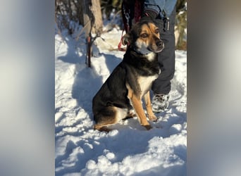 Alek bereit für ein neues Leben an deiner Seite