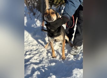 Alek bereit für ein neues Leben an deiner Seite