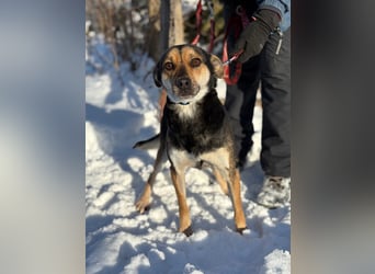 Alek bereit für ein neues Leben an deiner Seite