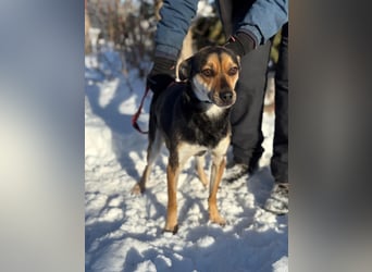 Alek bereit für ein neues Leben an deiner Seite