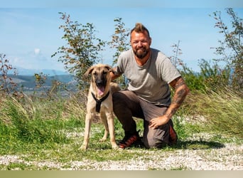 Kajan hofft, von seinen Menschen gefunden zu werden