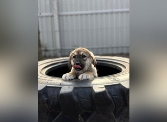 Nevin bereit für ein neues Leben an deiner Seite