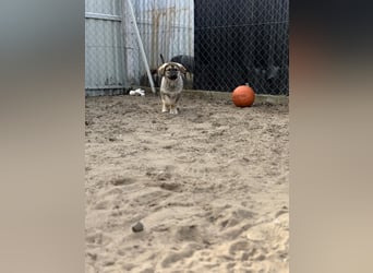 Nevin bereit für ein neues Leben an deiner Seite