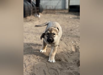 Nevin bereit für ein neues Leben an deiner Seite
