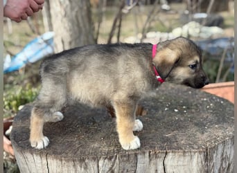 Nevin bereit für ein neues Leben an deiner Seite