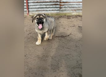 Nevin bereit für ein neues Leben an deiner Seite