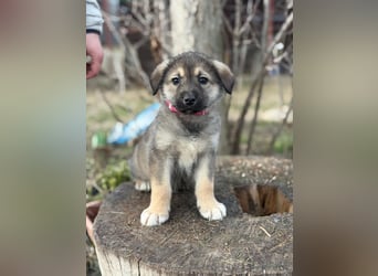 Nevin bereit für ein neues Leben an deiner Seite