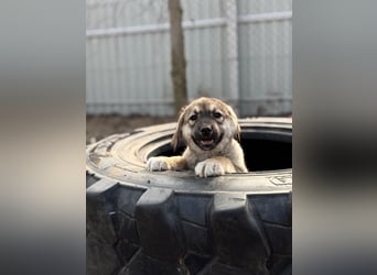 Nevin bereit für ein neues Leben an deiner Seite