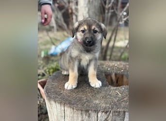 Nevin bereit für ein neues Leben an deiner Seite