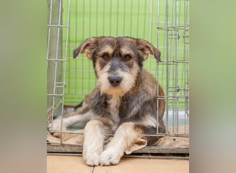 Christopher - Bester Freund (Ukraine)