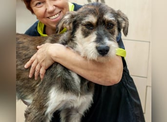 Christopher - Bester Freund (Ukraine)