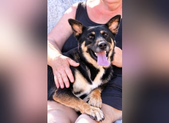 Spiky - Freundliche & fröhliche Hündin sucht ihr Für-Immer!