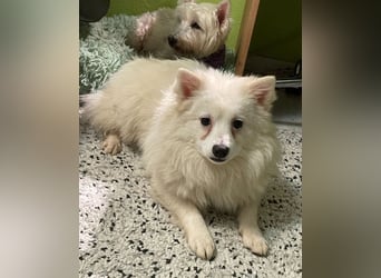 Ted SR, sucht Liebe und Zuneigung Ted SR, sucht Liebe und Zuneigung