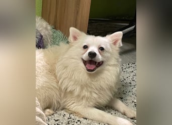 Ted SR, sucht Liebe und Zuneigung Ted SR, sucht Liebe und Zuneigung