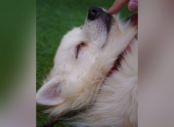 Ted SR, sucht Liebe und Zuneigung Ted SR, sucht Liebe und Zuneigung