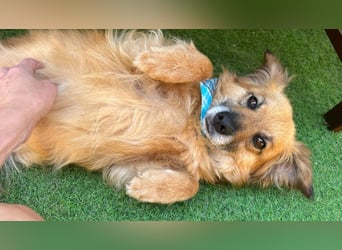 Copper sucht sein neues Glück