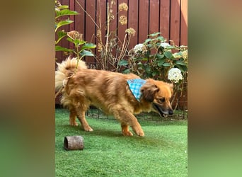 Copper sucht sein neues Glück