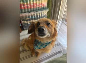 Copper sucht sein neues Glück