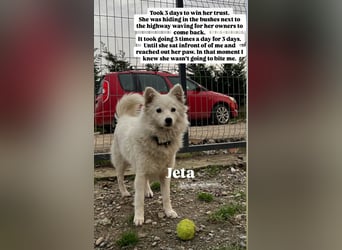 Jeta (1) ist eine junge, gesunde Maus mit Energie