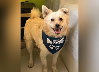 Lukas SR - verträglich, sanft