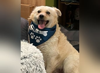 Lukas SR - verträglich, sanft